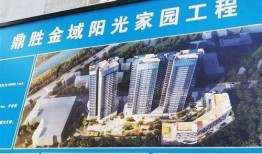 福保最新爆料信息,最新爆料信息深度解析